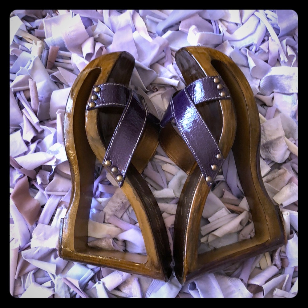 Purple Wedges